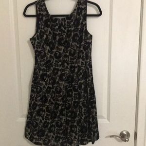 LBD